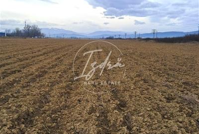 Teren extravilan Avrig - 1