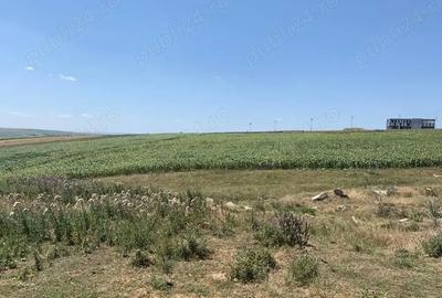 Teren de 5331 mp, în Sfântu Ilie - 2
