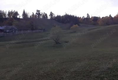 Teren de 13700 mp, în Nereju - 6