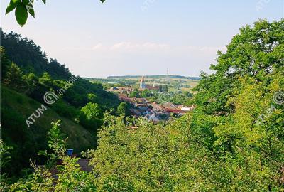 Casa traditionala din lemn cu 930 mp teren langa Sibiu - 3