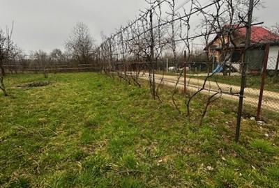 SATU NOU DE JOS, casa D+P+E 300mp , cu teren 21ari! - 13