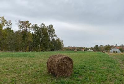 Teren de 4990 mp, în Duboz - 4
