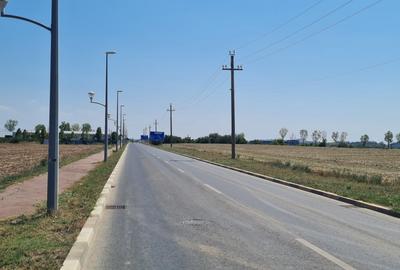 Teren pentru proiect de case in Buftea, cu deschidere la lacul Buciumeni - 7