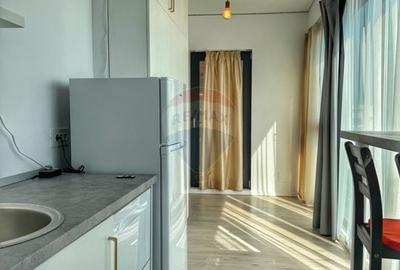 Apartament cu 2 camere semidecomandat, mobilat în Străulești - 11