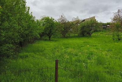 Teren de 950 mp, în Borhanci - 5