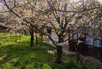 Casă cu 3 camere în Dancu