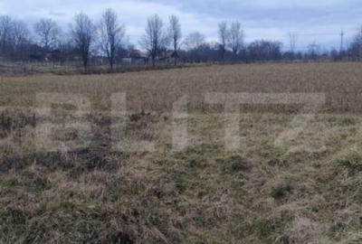 Casă cu 4 camere cu Teren 5450 Mp în Fizeșu Gherlii - 4