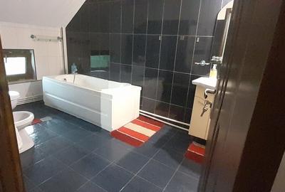 Casa 160 mp Lunca Cetatuii, teren 875 mp, beci - 10