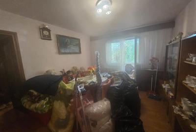Apartament cu trei camere  Et 1  Fagaras - 14