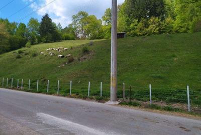 Namaesti - Valea Mare Pravat, 7000 mp. teren intravilan cu pozitie excelenta - 4