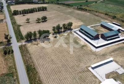 Teren Construcții intravilan de 105000 mp, în Crânguri - 1