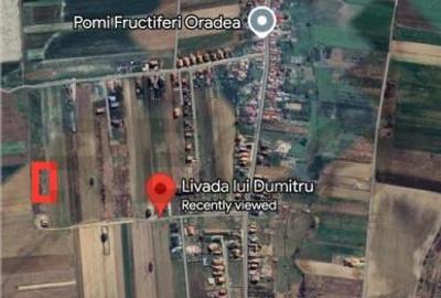 RECO Teren intravilan Cheriu 573mp - 3