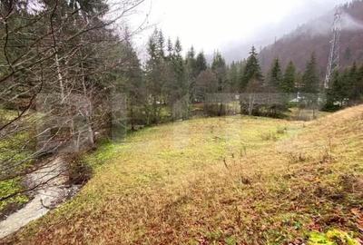 Teren de 9975 mp, în Predeal - 6