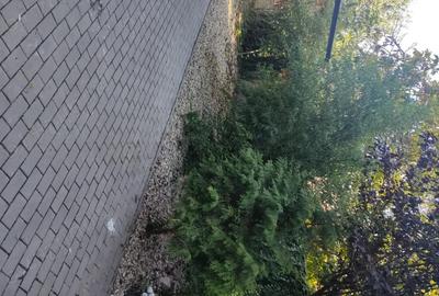 Casă cu 2 camere cu Teren 300 Mp în Central - 8