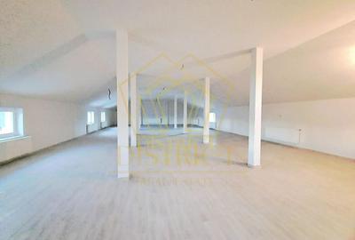 Spatiu Comercial tip Hala I Giroc Spatiu Comercial tip Hala I Giroc - 11