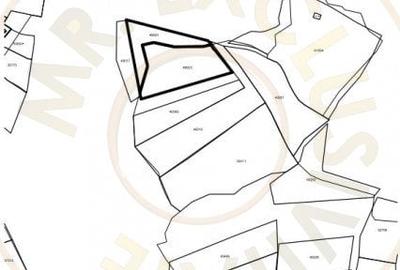 Terenuri 12.225 mp - Ramnicu Valcea, Aranghel - 8