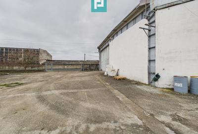 Hală cu teren intravilan de 3500 mp, în Sebiș Arad - 16