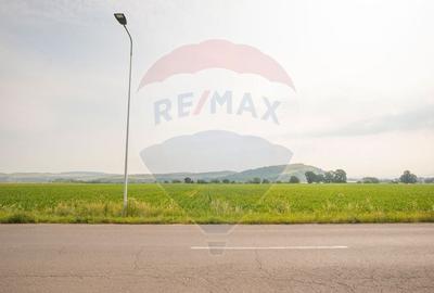 Teren Bod -Strada Harmanului, 732mp, posibil 1098mp/ 2196mp, utilitati - 4