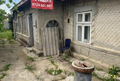 Casă cu 3 camere în Cernica - 6