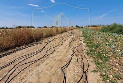 Teren agricol intravilan de 2470 mp, în Copăceni - 4