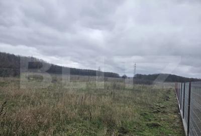 Teren de 1184 mp, în Abator