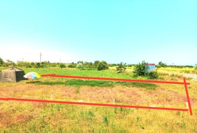 Teren agricol intravilan de 500 mp, în Limanu - 6