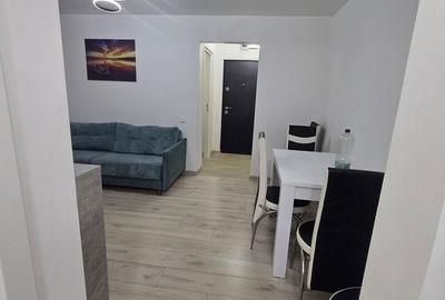 Apartament cu 2 camere semidecomandat, mobilat în Viziru 1 - 4
