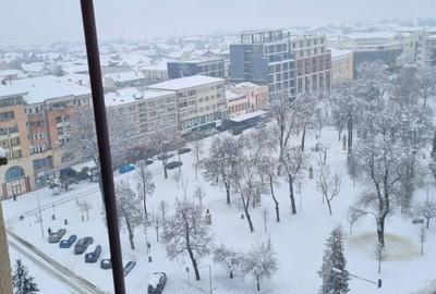 Apartament cu 2 camere decomandat în Central - 4