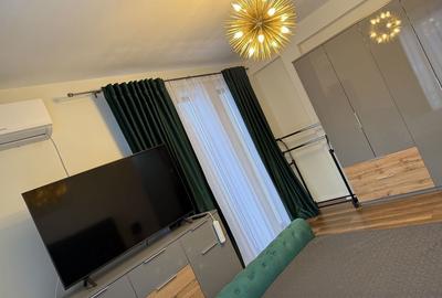 Casă cu 4 camere cu Teren 500 Mp în Făget - 8