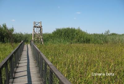 Comana intravilan, loturi 528mp, Delta, gaze, privat (credit/rate) - 8