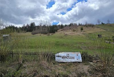 Teren de 9000 mp, în Dorna-Arini