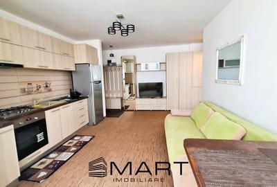 Apartament 2 camere Doamna Stanca