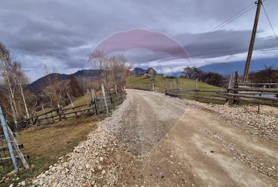 Comision 0 %/ Teren extravilan 13,570mp Pestera / Priveli... - 8