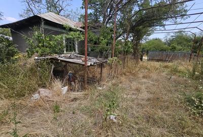 Gospodarie cu 2 case Comuna Trivale Mosteni, sat , la 30 km de Alexandria, jude?ul Teleorman - 8