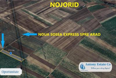 Teren de 5755 mp, în Nojorid - 3