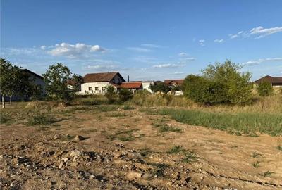 Teren de 539 mp, în Oșorhei - 4