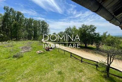 Vanzare teren *oportunitate investi?ie* situat in Carbune?ti-Sat, la DN 67B - 5