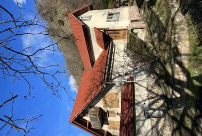 Vand casa cu teren in Paulis - 2