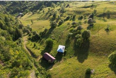Teren extravilan si constructii Lesu, jud Bistrita-Nasaud...