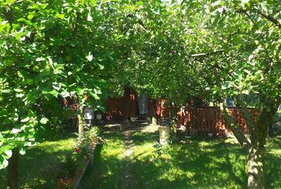 Teren Construcții intravilan de 1400 mp, în Micești - 5