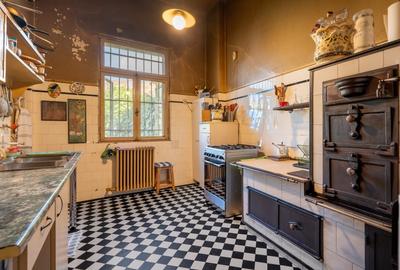 O vila cu prestanta, in Cismigiu - 13