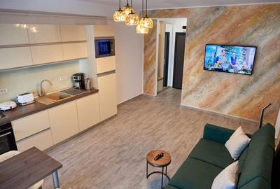 Apartament cu 2 camere semidecomandat, mobilat în Nord - 11