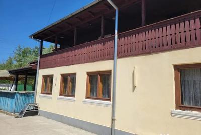 Casă cu 5 camere cu Teren 3000 Mp în Olanu