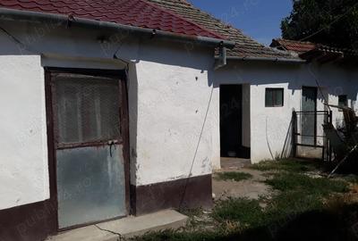 Casă cu 4 camere cu Teren 1131 Mp în Uivar - 5