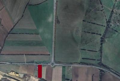 Inchiriez teren Calea Lugojului - A1 - 1