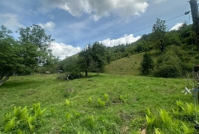 Teren 2 hectare pe Valea Ariesului, zona Scarita-Belioara, pret oportun 2 Eur/mp - 11