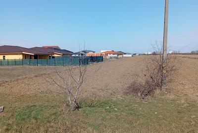 Spațiu comercial, în Apa - 3