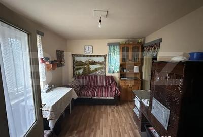 Casă cu 4 camere cu Teren 3000 Mp în Cășeiu - 15