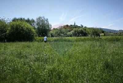Teren de 15360 mp, în Blăjel - 4