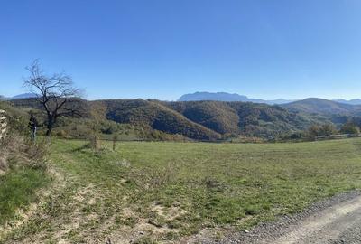 Spațiu comercial, în Central - 5